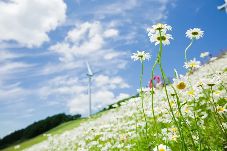 hosting web ecológico