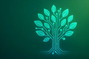  Medios sostenibles: imágenes y vídeo que no destruyen la velocidad